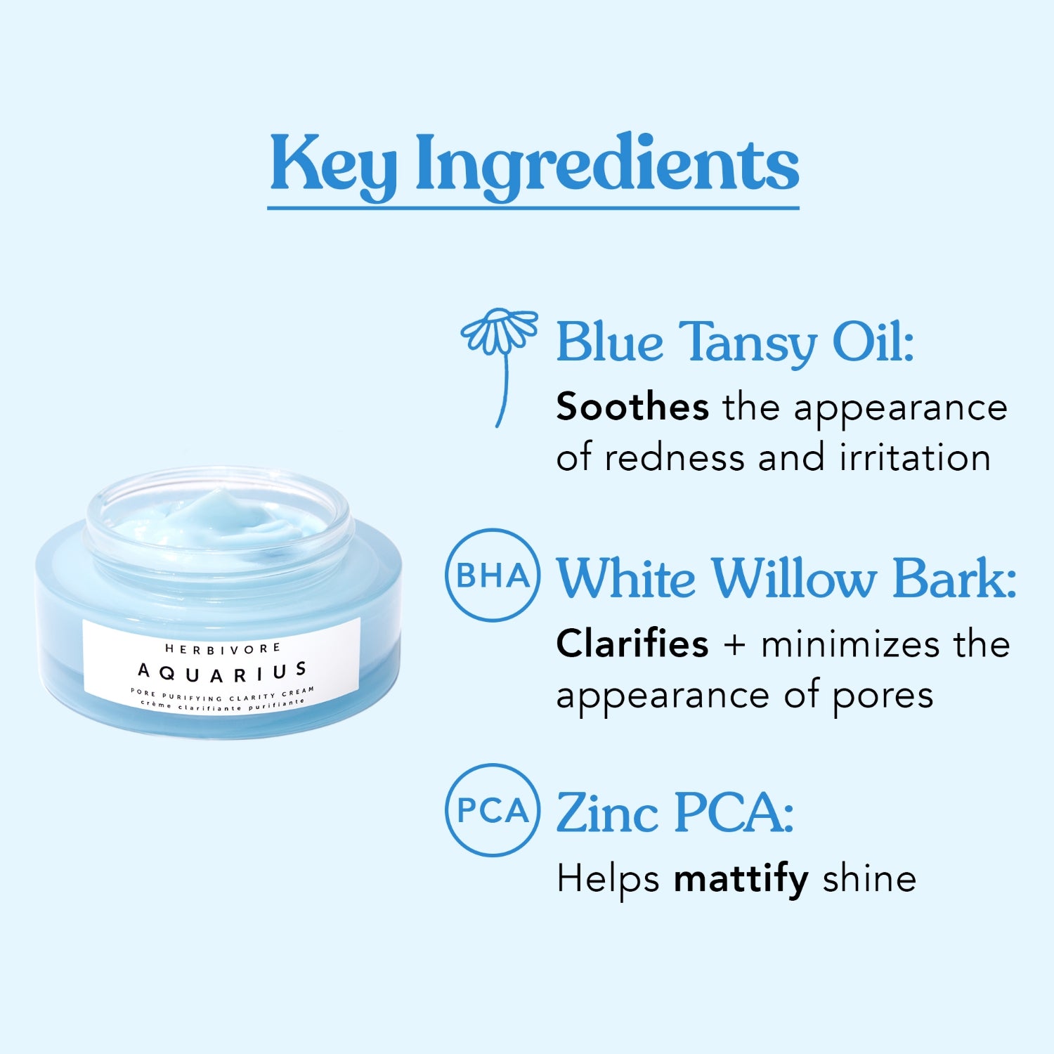 AQUARIUS Pore Purifying Clarity Cream