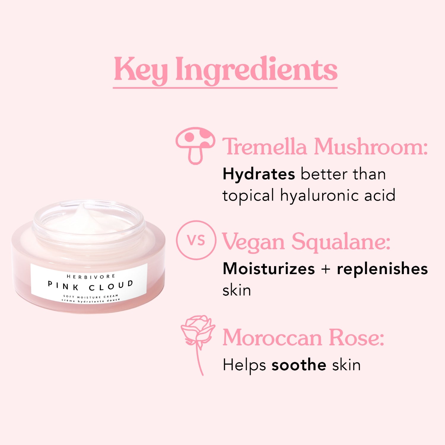 PINK CLOUD Soft Moisture Cream